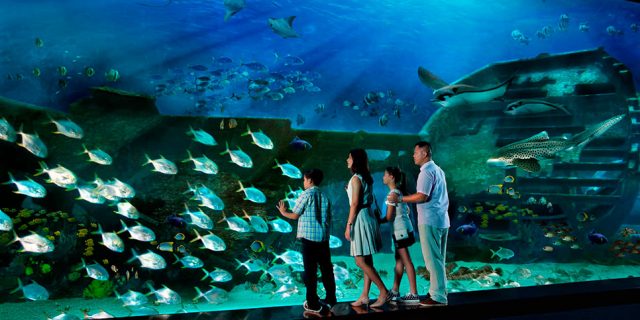 Sea Aquarium