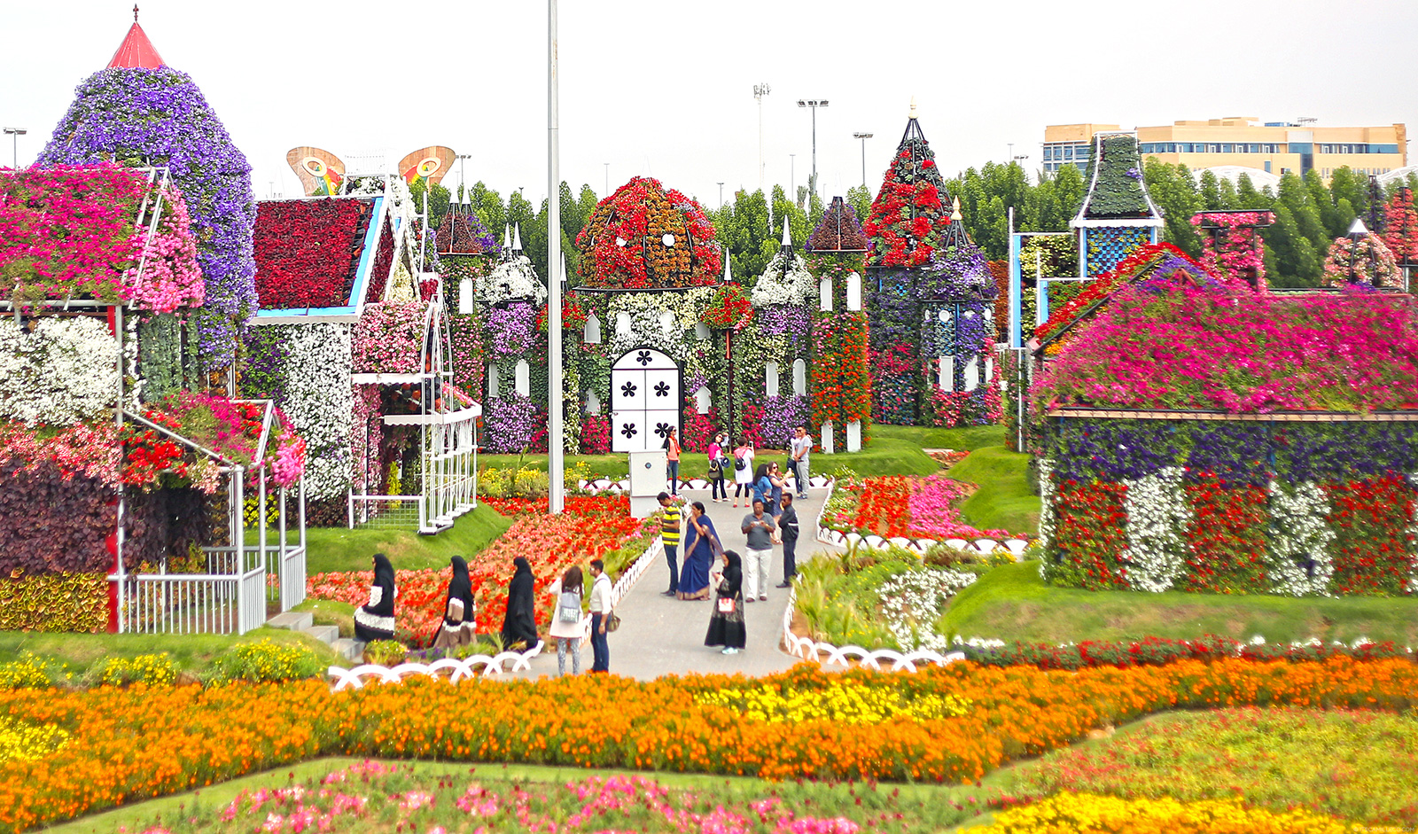 Vườn hoa Miracle Garden