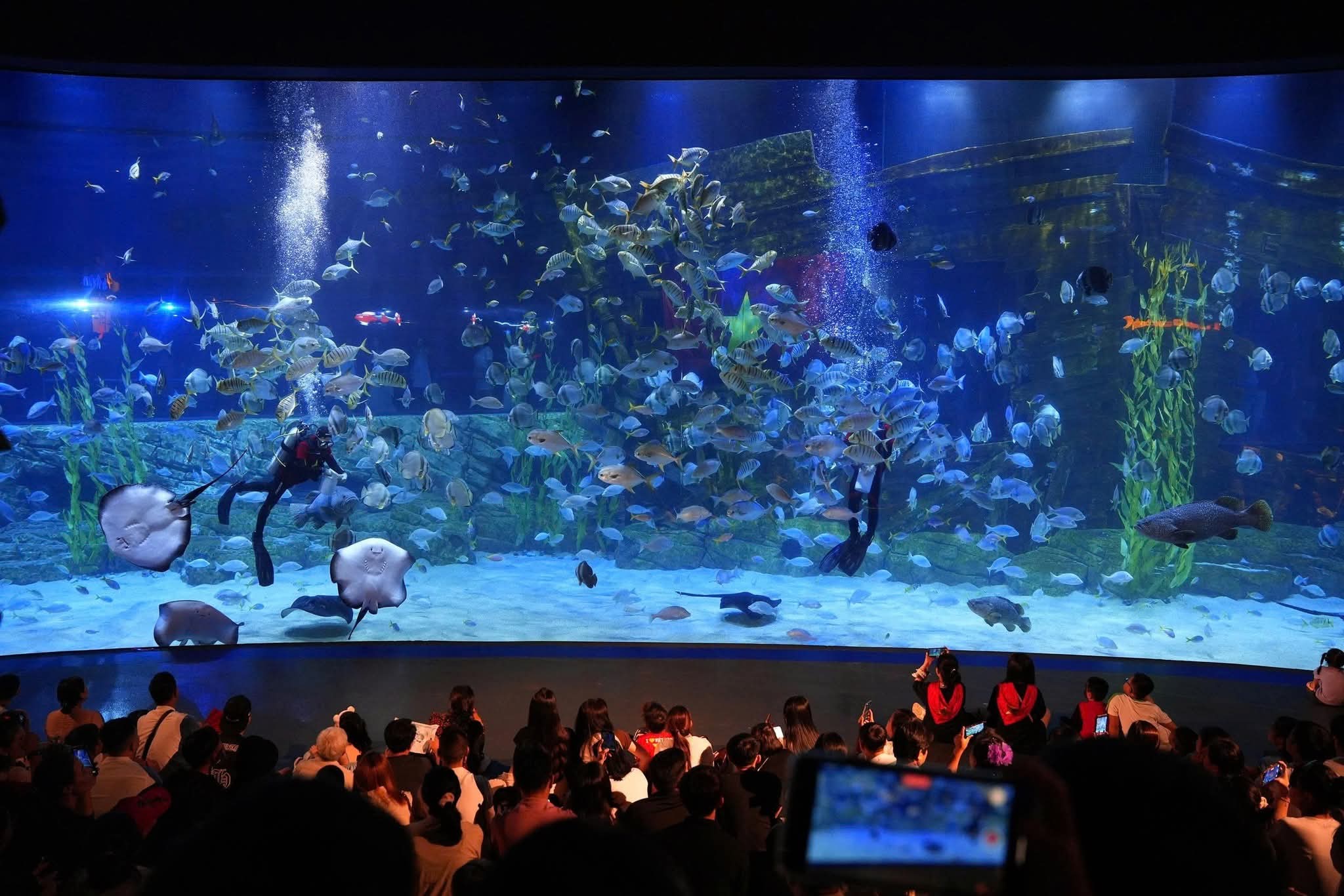 KHÁM PHÁ THẾ GIỚI ĐẠI DƯƠNG KỲ DIỆU TẠI LOTTE WORLD AQUARIUM HÀ NỘI