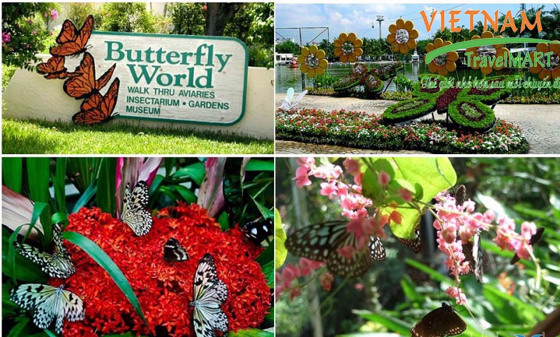 Butterfly Garden