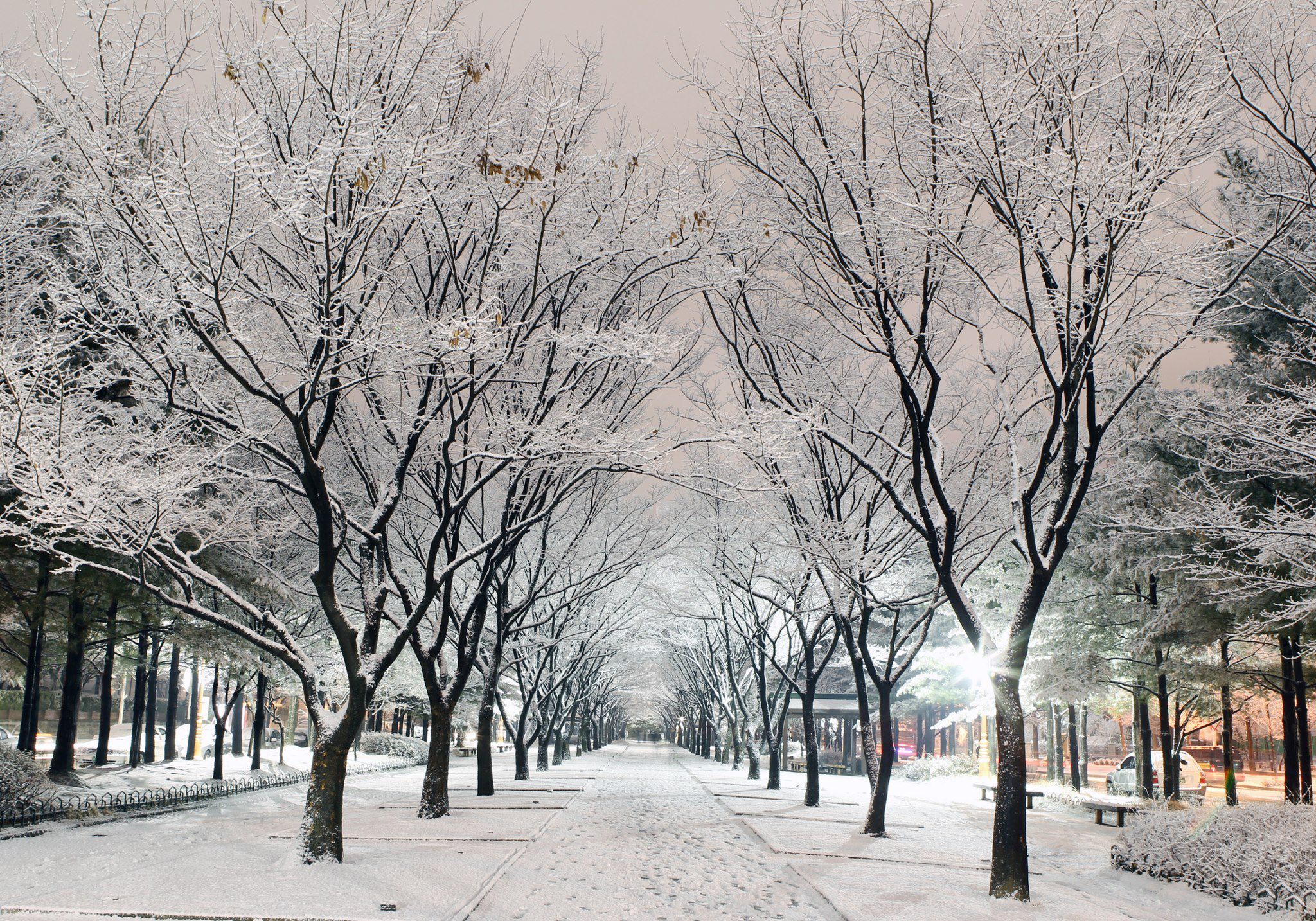 Công viên Namsan